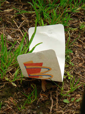 Litter - McDonalds