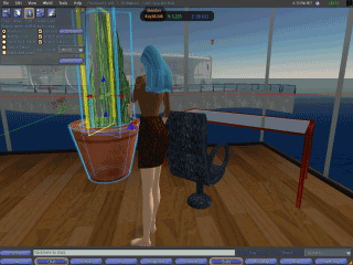 Growing the plant