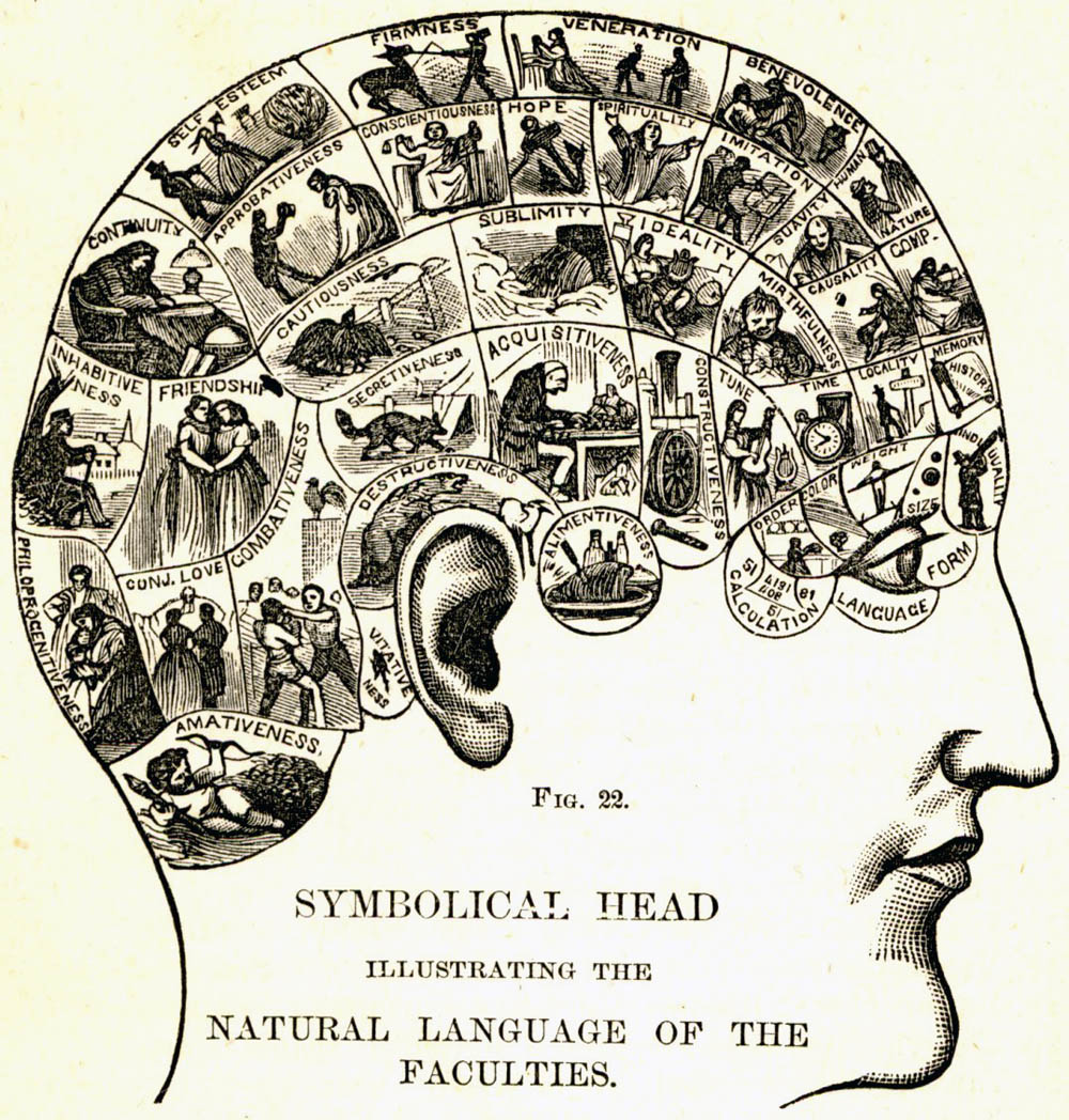 Phrenology Chart